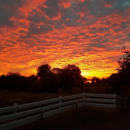 بيت خشبي Siedlisko Natura *