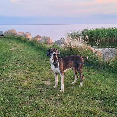Siedlisko Natura بيت خشبي سوومينو