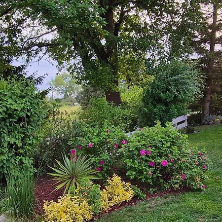 Siedlisko Natura Lodge *