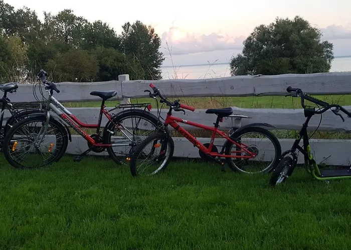 Siedlisko Natura Sulomino