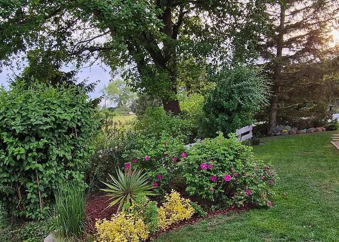 Siedlisko Natura Lodge *